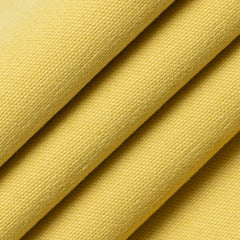 Acacia Maize