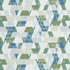 Argyle Fern