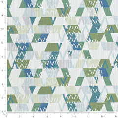 Argyle Fern