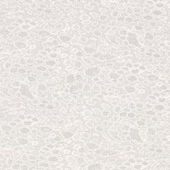 Astarion Powder Blue