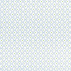 Bandera Baby Blue