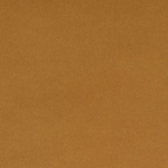 Baylor Ochre