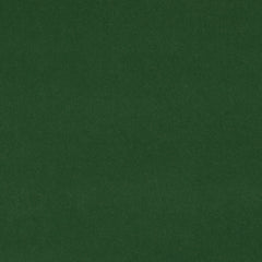 Baylor Shamrock