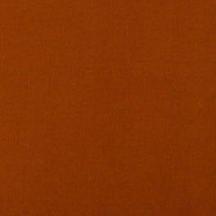 Baylor Terracotta
