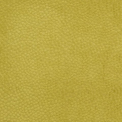 Boden Citron