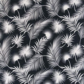 Cabos Obsidian
