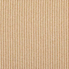 Campbell Canary