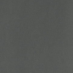 Clara Coal