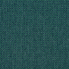 Avalon Evergreen