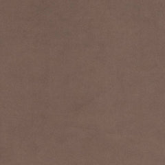 Dean Taupe