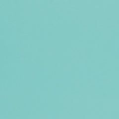 Delphine Aqua