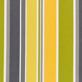 Dominica Limelight