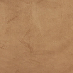 Dotson Camel