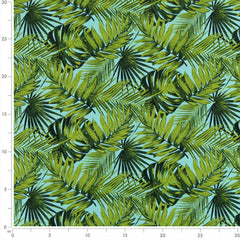 Elora Palm