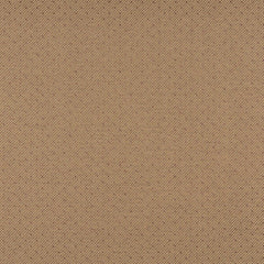 Eve Pecan