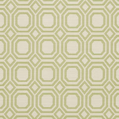 Geneva Kiwi