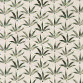 Harmony Aloe