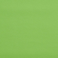 Jamal Lime