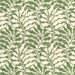 King Fern