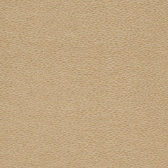 Lambo Taupe
