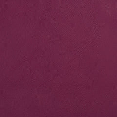 Louie Plum