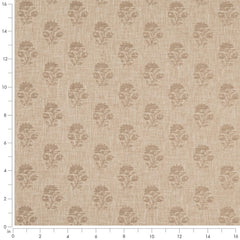 Merit Fawn