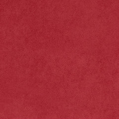 Nexus Raspberry