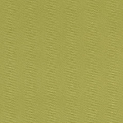 Nexus Spring