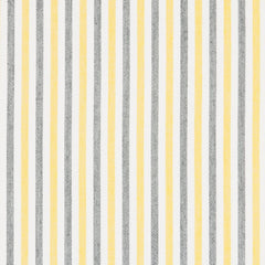 Notion Lemon