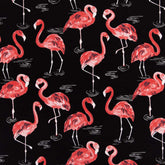 Palm Springs Flamingo