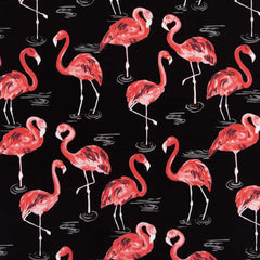 Palm Springs Flamingo