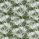 Peterson Fern