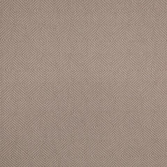 Rivena Driftwood