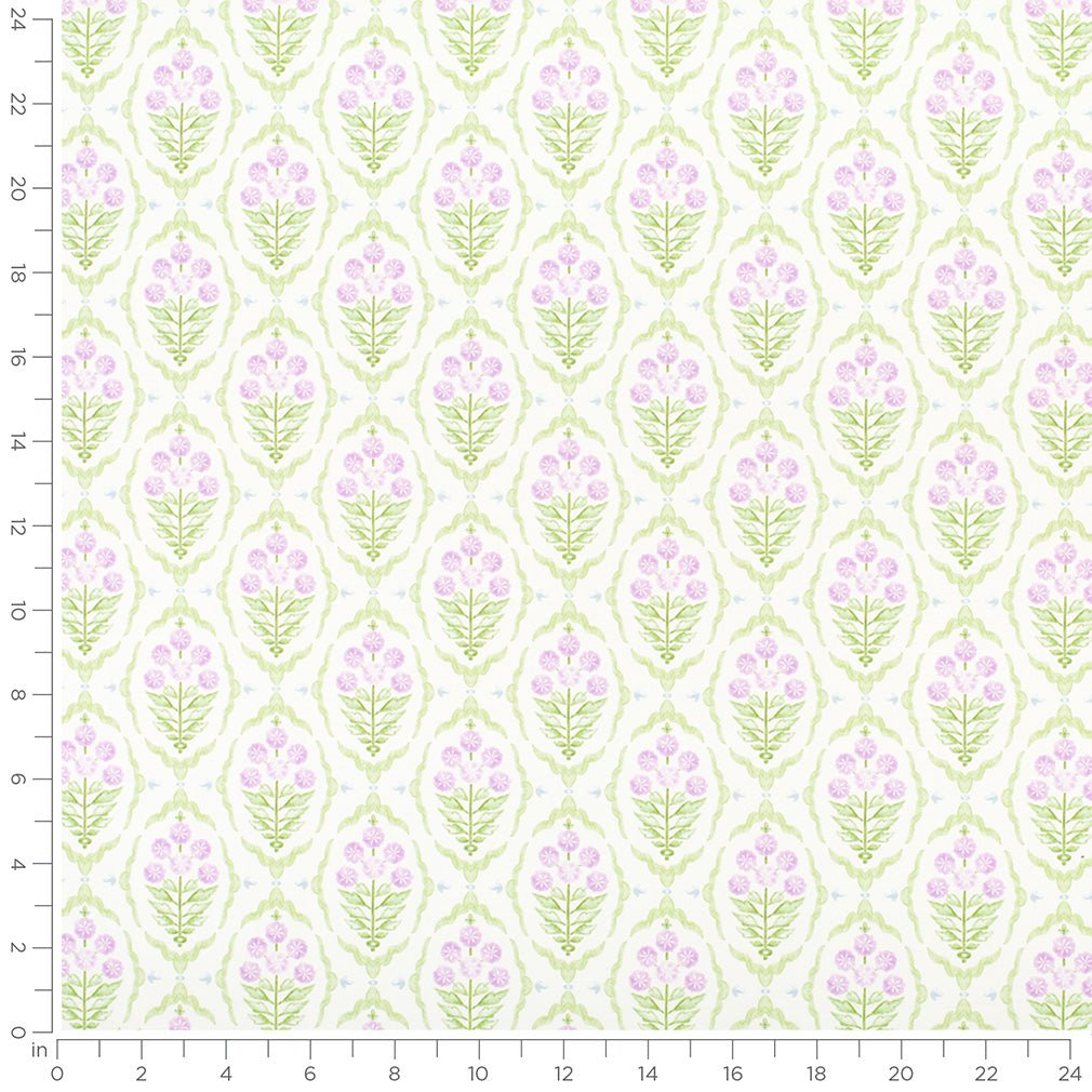 Acadia Lilac