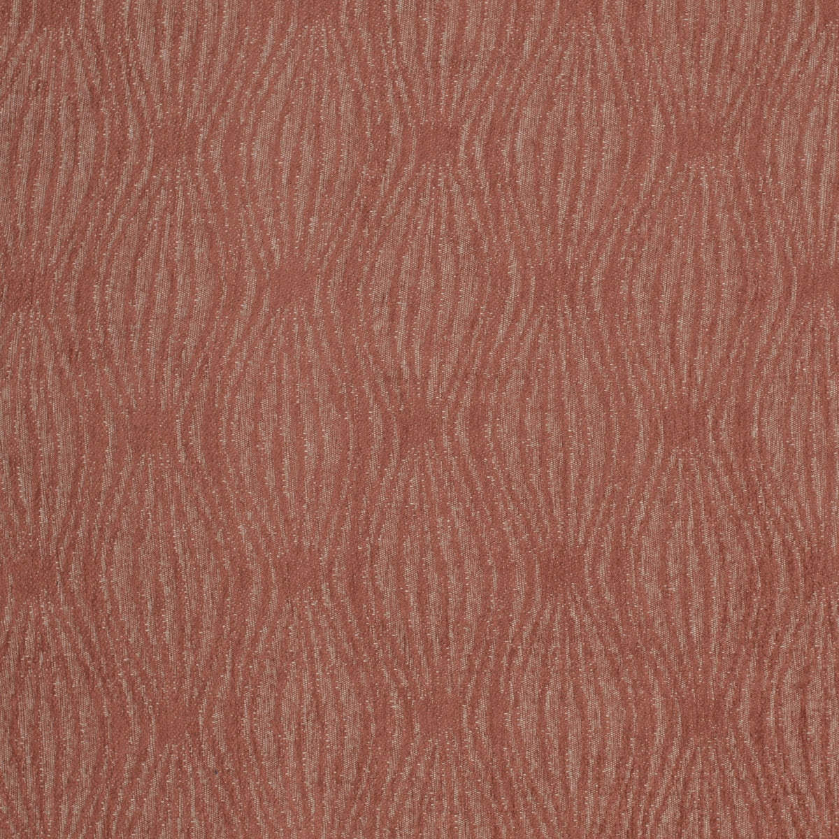 Afton Cinnamon