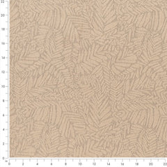 Amico Limestone