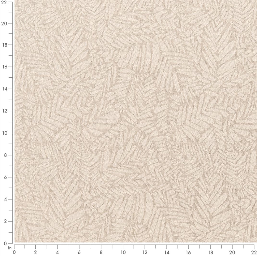 Amico Oyster