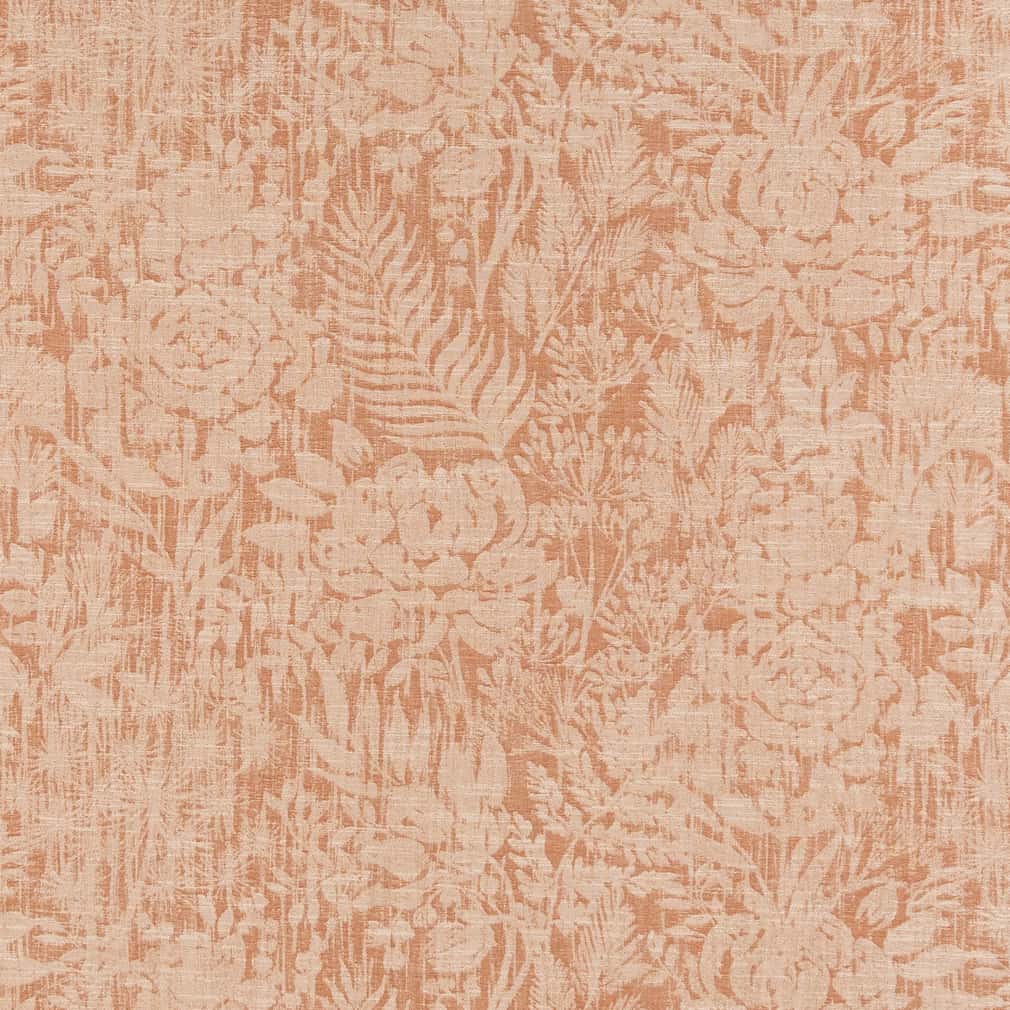 Annabel Apricot