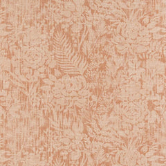 Annabel Apricot
