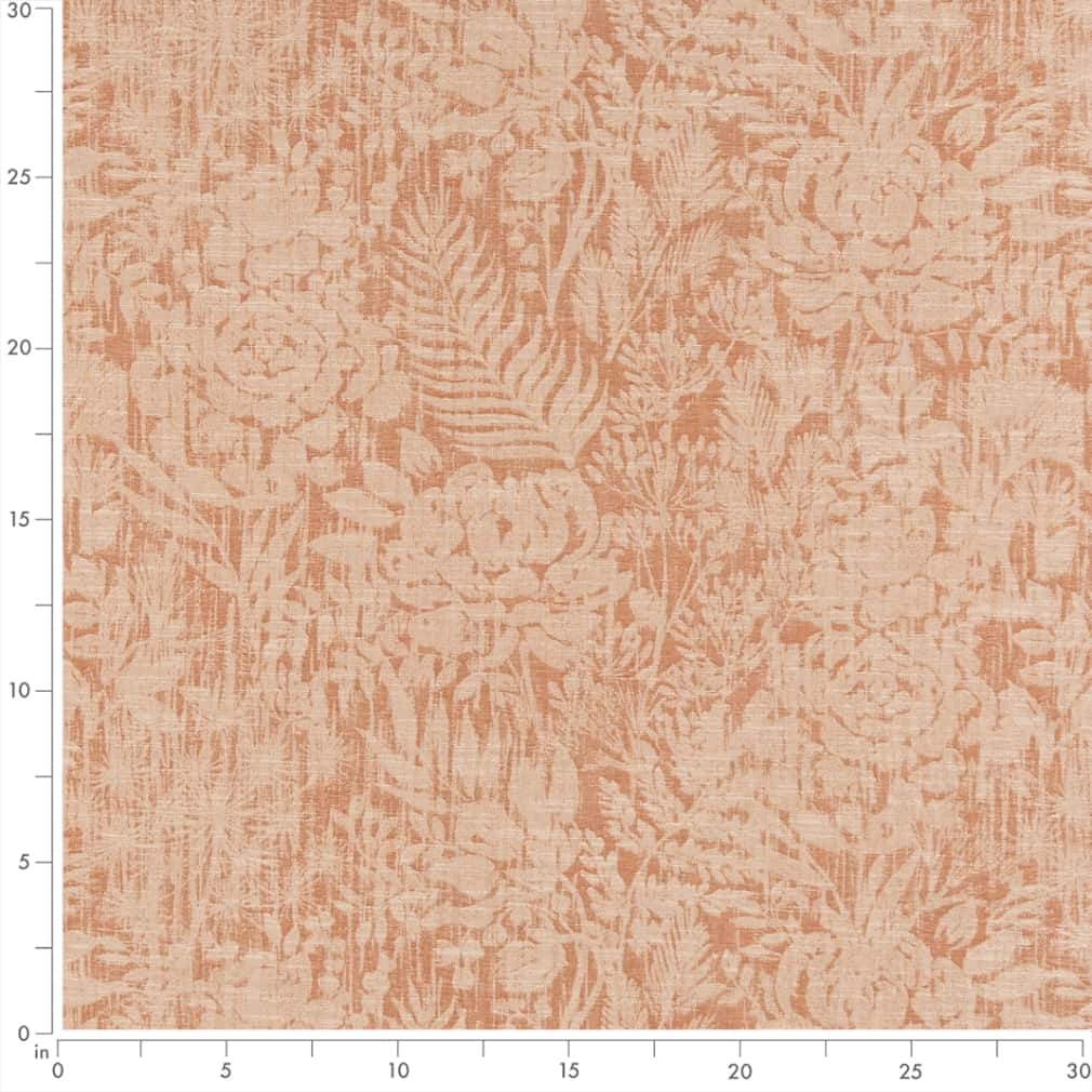 Annabel Apricot