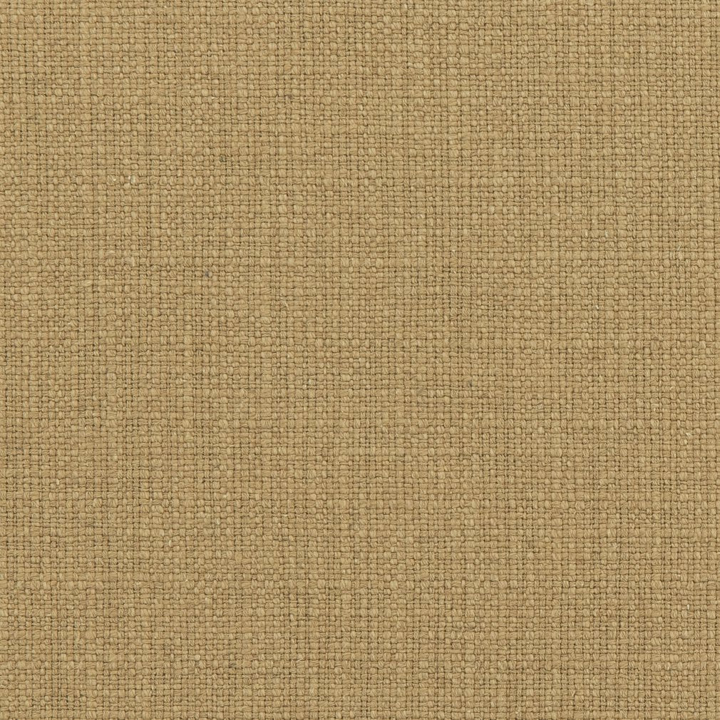 Anthem Pecan