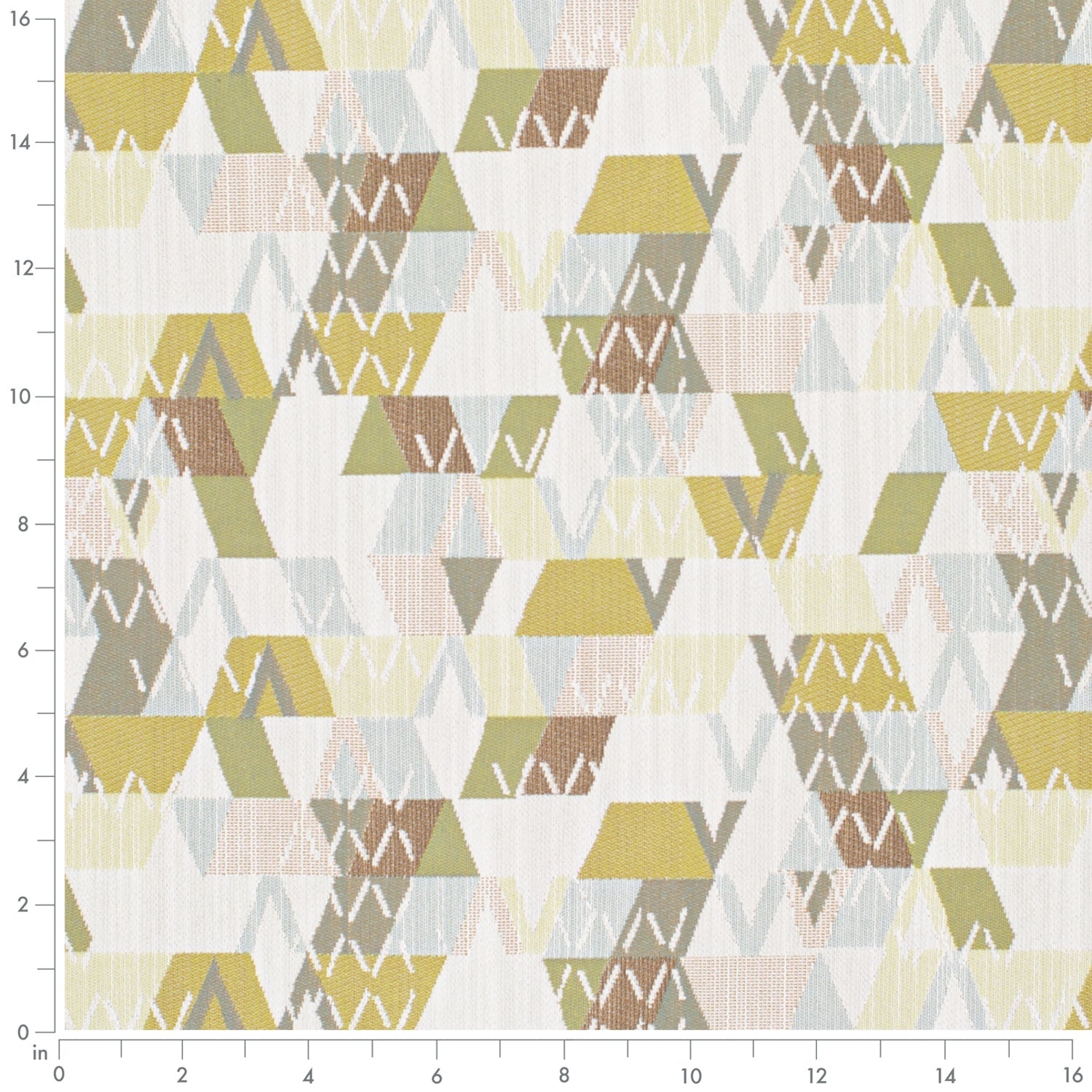 Argyle Olive