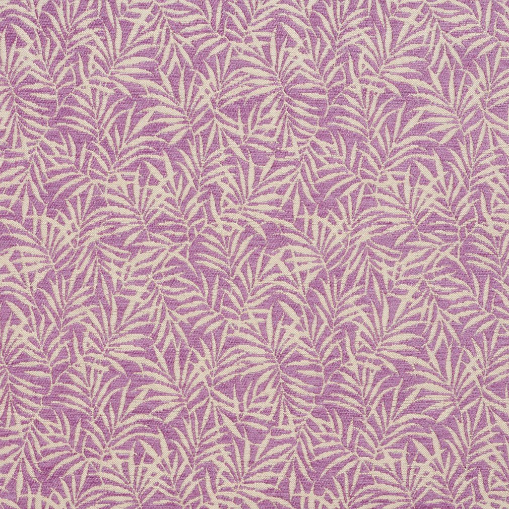 August Lilac
