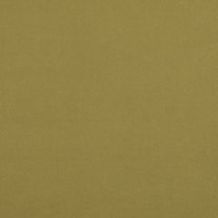 Baylor Green Tea