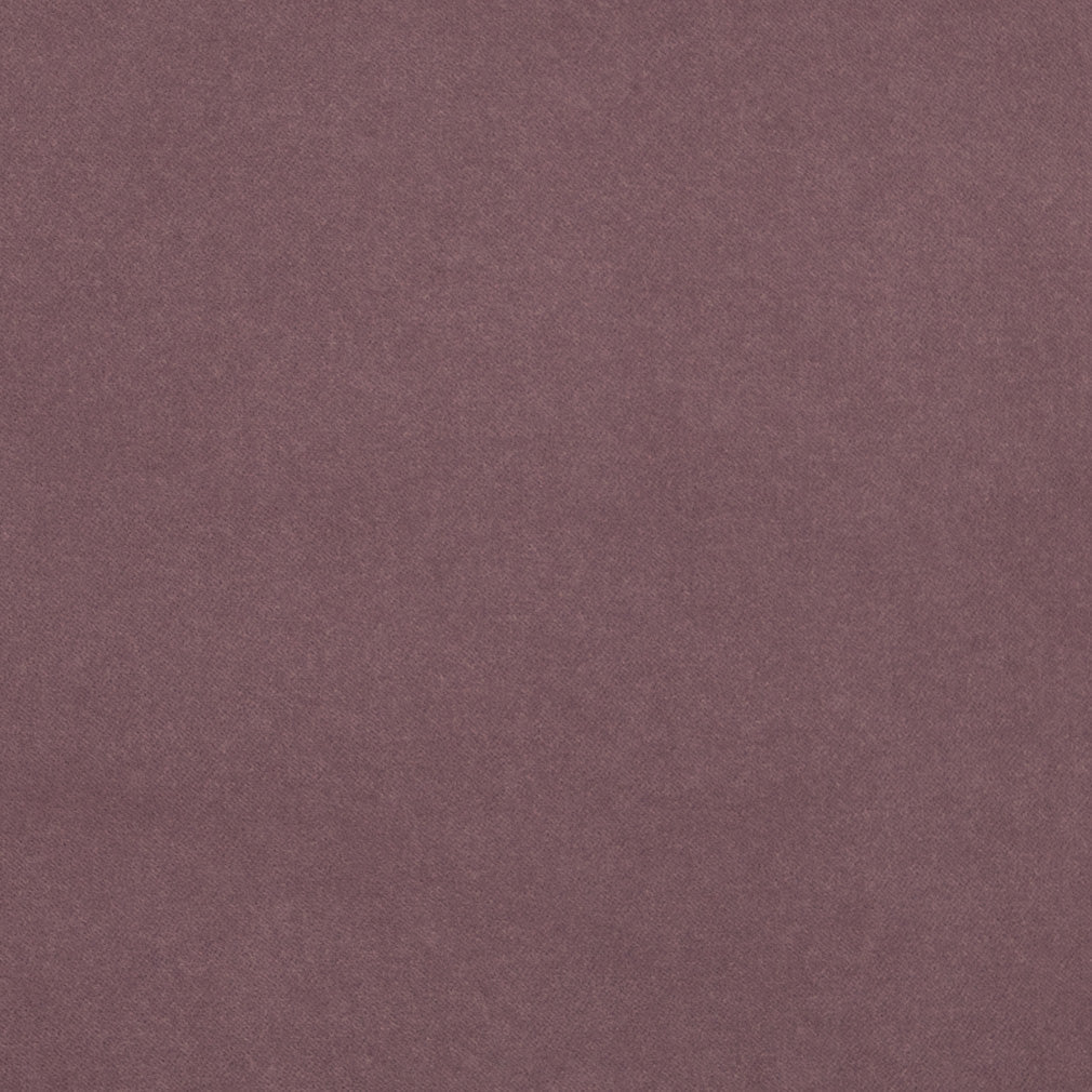 Baylor Lavender