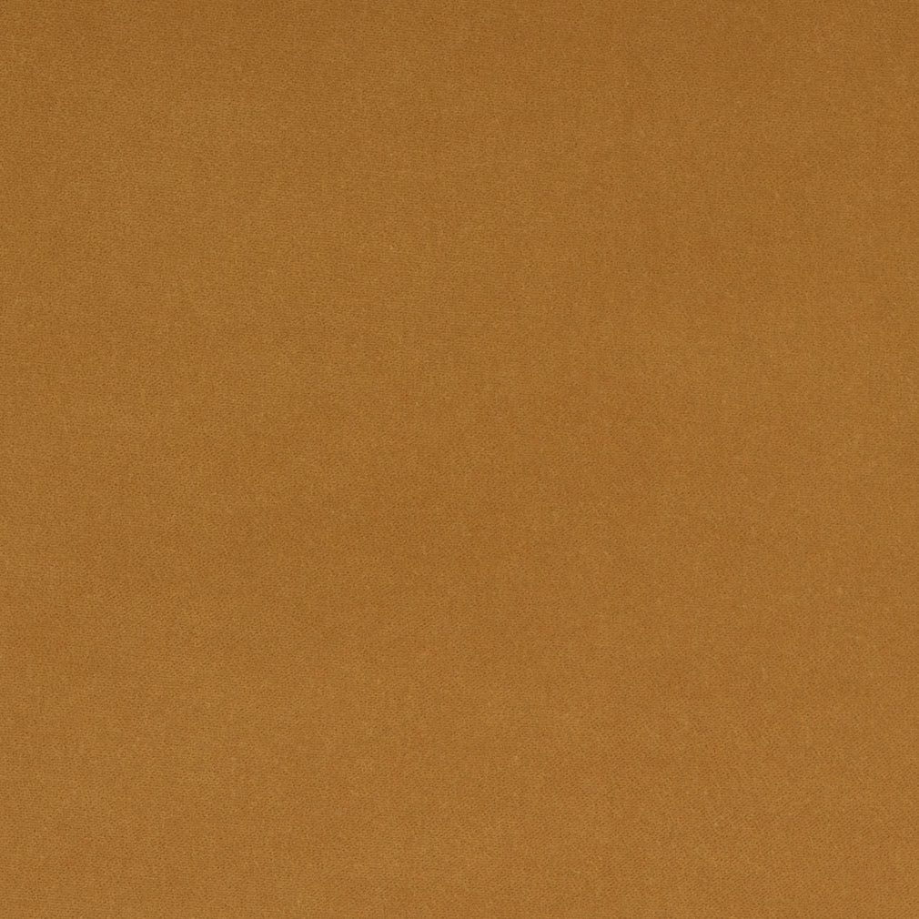 Baylor Ochre