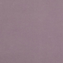 Baylor Wisteria
