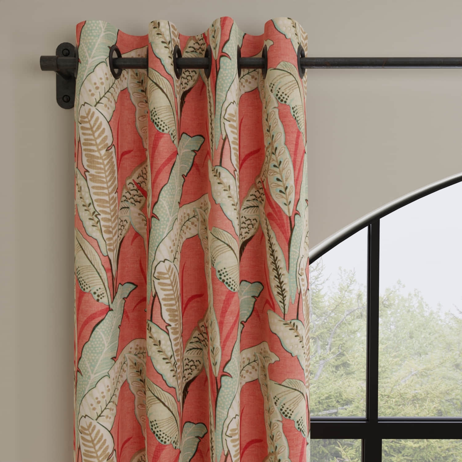 Berkley Coral