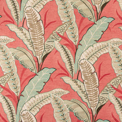 Berkley Coral