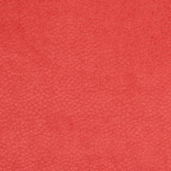 Boden Watermelon